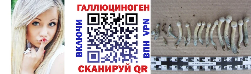 Галлюциногенные грибы MAGIC MUSHROOMS  цены   Ковров 
